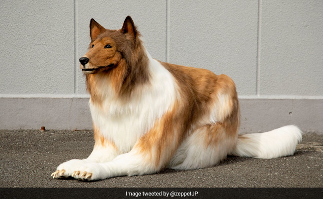 Japanese Man Spends Rs 12 Lakh To "Become" A Dog