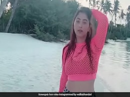 दिशा परमार ने समंदर किनारे नॉटी बलम पर किया ताबड़तोड़ डांस, वीडियो देख फैन्स बोले- आपका तो अंदाज ही बदल गया  दिशा परमार ने समंदर किनारे नॉटी बलम पर किया ताबड़तोड़ डांस, वीडियो देख फैन्स बोले- आपका तो अंदाज ही बदल गया
