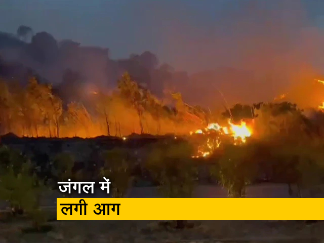 जम्‍मू के नजदीक जंगल में लगी भीषण आग, पहले भी हो चुकी हैं ऐसी कई घटनाएं