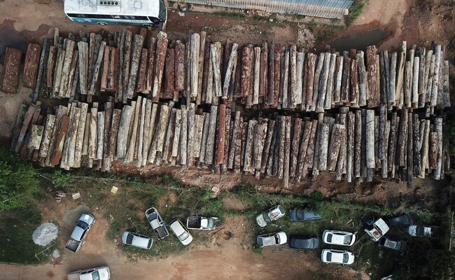 Brazil Amazon Rainforest Lost Land The Size Of 1,400 Football Fields In April