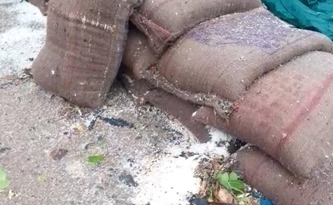 दुनिया के 150 से अधिक देशों में खाया गया भारत का चावल, Rice Export में आया बड़ा उछाल