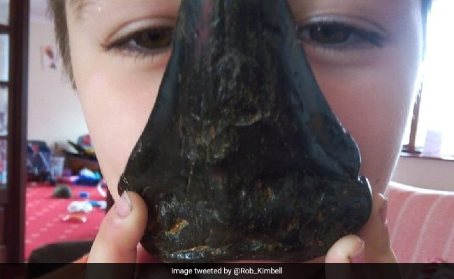 Six-Year-Old Boy Finds Giant Megalodon Shark Tooth Dating Back Million Of Years On UK Beach