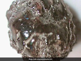 After Years Of Searching, US Man Finds 2.38-Carat Brown Diamond In Arkansas State Park After Years Of Searching, US Man Finds 2.38-Carat Brown Diamond In Arkansas State Park