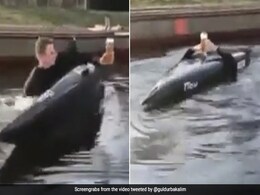 खुद पानी में डूब गया लेकिन नहीं छोड़ा ड्रिंक का ग्लास, देखें Viral Video खुद पानी में डूब गया लेकिन नहीं छोड़ा ड्रिंक का ग्लास, देखें Viral Video