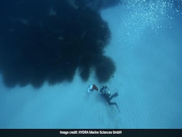Sugar Found In Ocean Bed Equivalent to "32 Billion Cans Of Coke": Study Sugar Found In Ocean Bed Equivalent to "32 Billion Cans Of Coke": Study