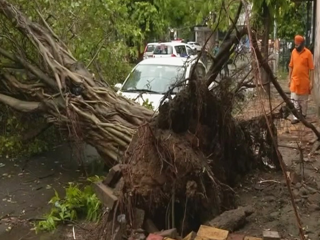 Thunder And Hailstorm In Delhi, Cars Damaged, Trees Uprooted