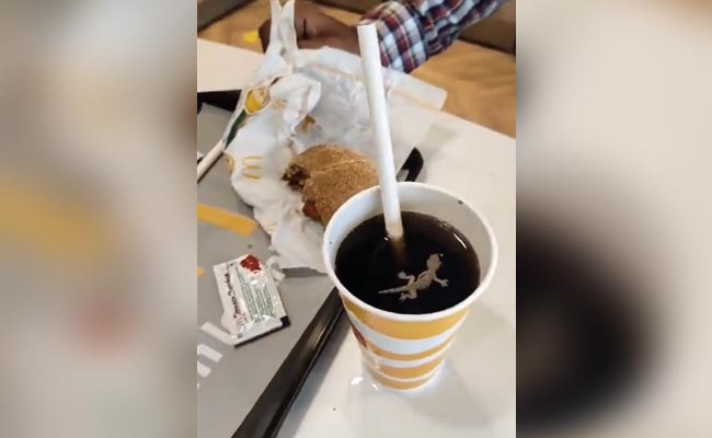 कोल्ड ड्रिंक में मिली मरी हुई छिपकली, सोशल मीडिया पर शख्स ने शेयर किया वीडियो