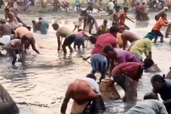 Fishing Festival In Tamil Nadu's Pudukkottai Fishing Festival In Tamil Nadu's Pudukkottai