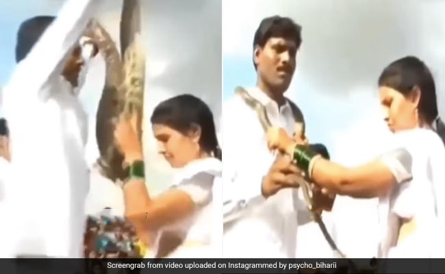 दूल्हा-दुल्हन ने वरमाला की जगह एक-दूसरे के गले में डाल दिए कोबरा और अजगर, लोगों के उड़े होश