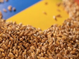 Ukraine Grain Exports Halted After Russia Suspends Participation In Deal Ukraine Grain Exports Halted After Russia Suspends Participation In Deal