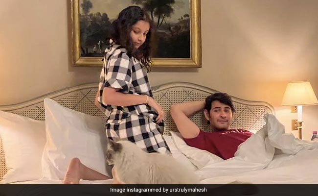 Mahesh Babu, Daughter Sitara And A Cat Have "Candid Conversation." See Paris Pic