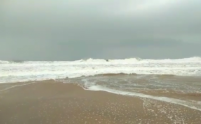 Cyclone Asani Weakens As It Approaches Andhra, Heavy Rain, Winds: 10 Facts