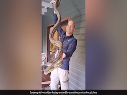 घर की बालकनी में एकसाथ बैठे दिखे 4 विशाल अजगर और कई सांप, पहले नहीं देखा होगा ऐसा खौफनाक नज़ारा - देखें Video घर की बालकनी में एकसाथ बैठे दिखे 4 विशाल अजगर और कई सांप, पहले नहीं देखा होगा ऐसा खौफनाक नज़ारा - देखें Video