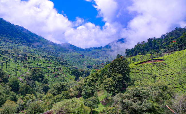 Top 6 Places To Visit In Coonoor This Summer Holidays 2022