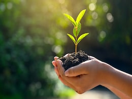 Vastu tips For Plant: घर के इन 3 पेड़-पौधों का सूखना माना जाता है बेहद अशुभ, जानिए ऐसे में क्या करें Vastu tips For Plant: घर के इन 3 पेड़-पौधों का सूखना माना जाता है बेहद अशुभ, जानिए ऐसे में क्या करें