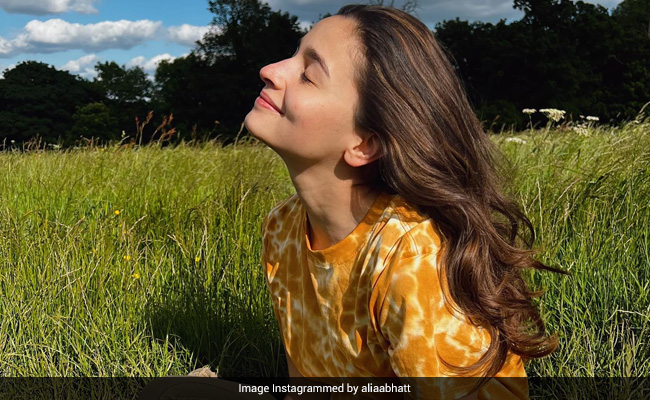 Arjun Kapoor's ROFL Comment On Alia Bhatt's Recent Post Will Leave You In Splits