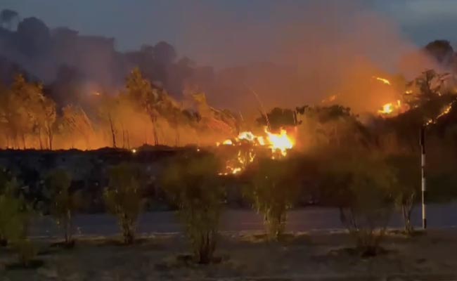 Massive Forest Fire Erupts Near Jammu