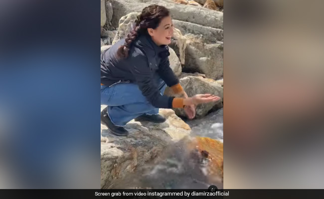 पहाड़ों और खूबसूरत वादियों का एन्जॉय करती दिखीं ये एक्ट्रेस, वीडियो देख लोगों ने पूछी लोकेशन