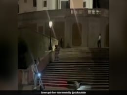 US Tourists Throw E-Scooters Down Rome's Spanish Steps, Cause Rs 20 Lakh In Damages US Tourists Throw E-Scooters Down Rome's Spanish Steps, Cause Rs 20 Lakh In Damages