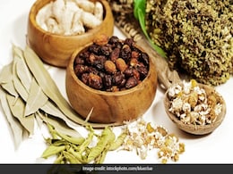 100 साल तक जीना है तो हिमालय पर मिलने वाली इन जड़ी-बूटियों को खाना शुरू कर दीजिए, एकदम रहेंगे स्वस्थ 100 साल तक जीना है तो हिमालय पर मिलने वाली इन जड़ी-बूटियों को खाना शुरू कर दीजिए, एकदम रहेंगे स्वस्थ