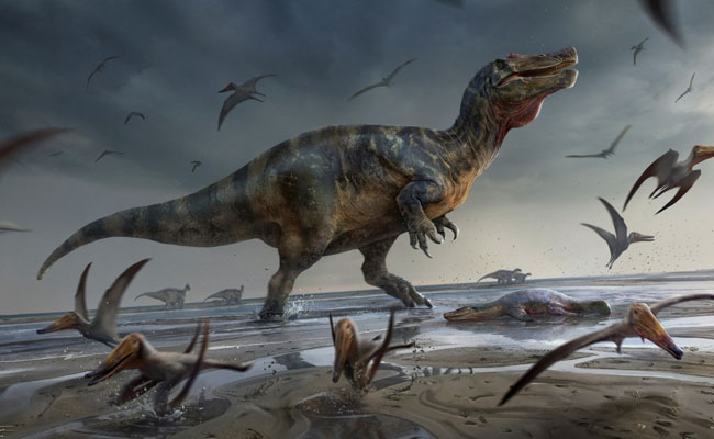 White Rock spinosaurid: Europe's 'Largest Predatory Dinosaur ...