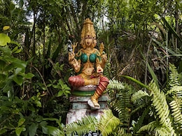 इस दिन हुआ था देवी गायत्री का अवतार, इनके मंत्र जाप से मिलते हैं बड़े लाभ इस दिन हुआ था देवी गायत्री का अवतार, इनके मंत्र जाप से मिलते हैं बड़े लाभ