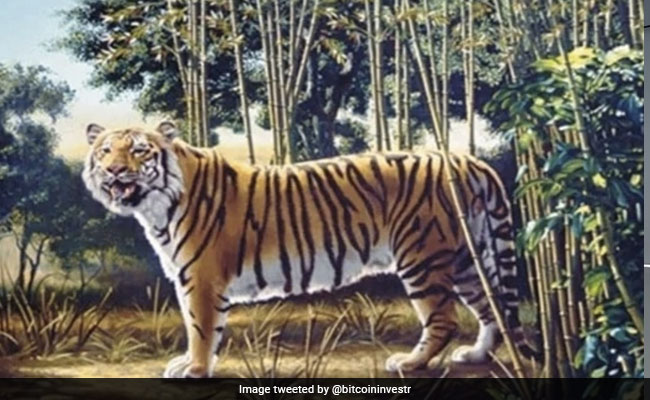There Are 2 Tigers In This Optical Illusion. Can You Find The Second One?