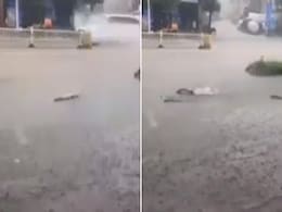 सड़क पर तैरती नजर आईं मछलियां, Video देख नहीं होगा खुद की आंखों पर यकीन सड़क पर तैरती नजर आईं मछलियां, Video देख नहीं होगा खुद की आंखों पर यकीन