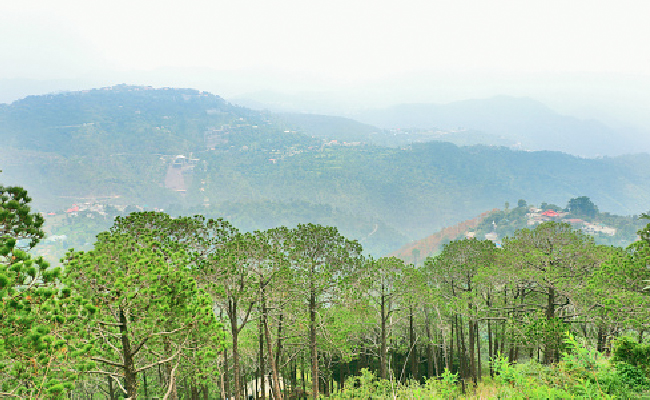 Exploring Kasauli: Top 5 Places To Visit In This Popular Hill Station
