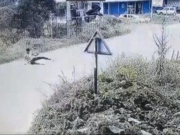 बिजली के ट्रांसफार्मर से टकराई तेज रफ्तार बाइक, उसके बाद जो हुआ उसे देख दंग रह जायेंगे आप बिजली के ट्रांसफार्मर से टकराई तेज रफ्तार बाइक, उसके बाद जो हुआ उसे देख दंग रह जायेंगे आप