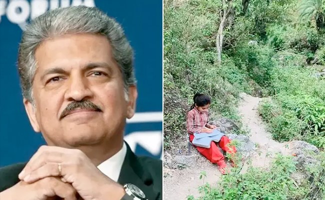 आनंद महिंद्रा ने चट्टान पर पढ़ाई करते हुए एक लड़की को बताया अपना मोटिवेशन, देखें तस्वीर