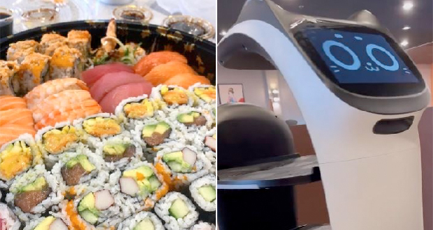 Dining Of The Future: Adorable 'Cat Robot' Serves Sushi At This Restaurant