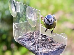 US Man Arrested Thrice in 3 Weeks For Having Too Many Bird Feeding Trays US Man Arrested Thrice in 3 Weeks For Having Too Many Bird Feeding Trays