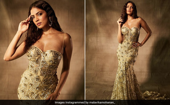 Malavika Mohanan In A Magnificent Shimmer Gown Dazzles Right Into The Weekend