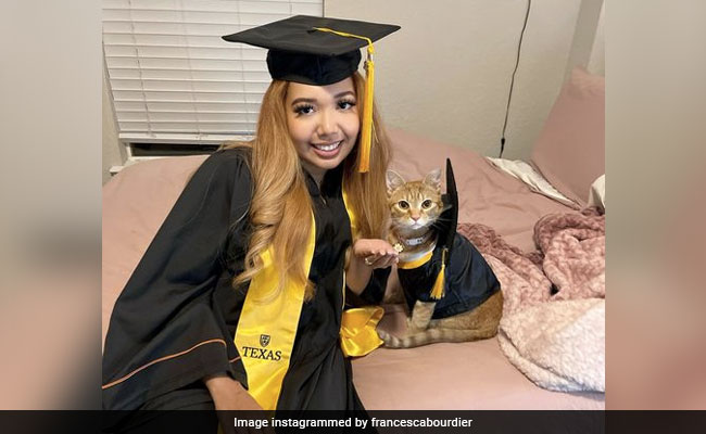 Cat Congratulated By US University For Attending Every Zoom Lecture With Owner