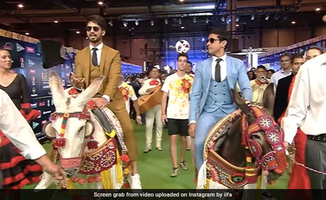 गधे पर बैठकर आईफा अवॉर्ड्स में पहुंचे गए बॉलीवुड के ये दो स्टार, वीडियो में देखें फिर क्या हुआ