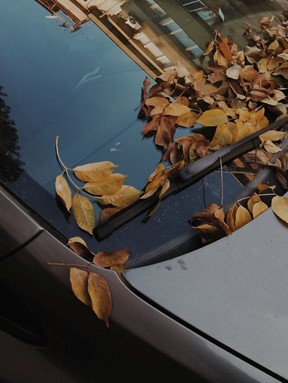 Monsoon Tips: 5 Useful Tips For Windshield Wiper Care