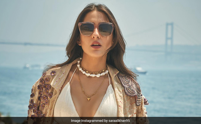 सारा अली खान ने कुछ इस अंदाज में दिया पोज, फैन्स बोले- मुंह बंद कर लो नहीं तो मच्छर चला जाएगा