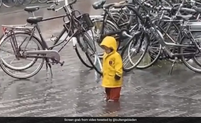 Viral Video: Child Enjoys Rain, Internet Wants To Join Him