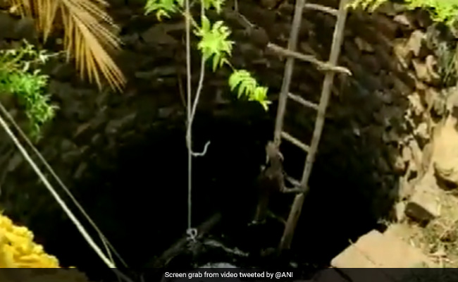 कुएं में गिर गया था तेंदुआ, रेस्क्यू के दौरान अपनाई गई ऐसी तकनीक, सीढ़ियों से चढ़कर खुद ही आया बाहर - देखें Video