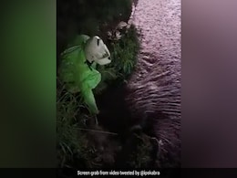 जब सड़क पर बारिश का पानी भरा तो ट्रैफिक अफसर ने किया ऐसा काम कि सबने की तारीफ, देखें- VIDEO जब सड़क पर बारिश का पानी भरा तो ट्रैफिक अफसर ने किया ऐसा काम कि सबने की तारीफ, देखें- VIDEO