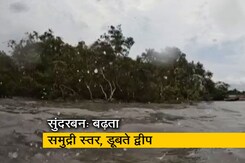 जलवायु परिवर्तन सुंदरबन के स्वास्थ्य को कैसे प्रभावित कर रहा है? जलवायु परिवर्तन सुंदरबन के स्वास्थ्य को कैसे प्रभावित कर रहा है?