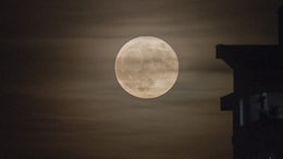 Final Supermoon Of The Year Aligns With Leonid Meteor Shower This Weekend