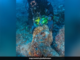 Marble Head Of Hercules Pulled From Ancient Roman Shipwreck Site In Greece Marble Head Of Hercules Pulled From Ancient Roman Shipwreck Site In Greece