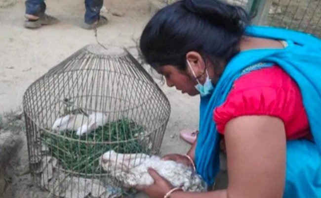 पालतू खरगोश के लापता होने से मायूस थी मालकिन, फिर पुलिस ने जो किया उस पर लोग दिल हार गए