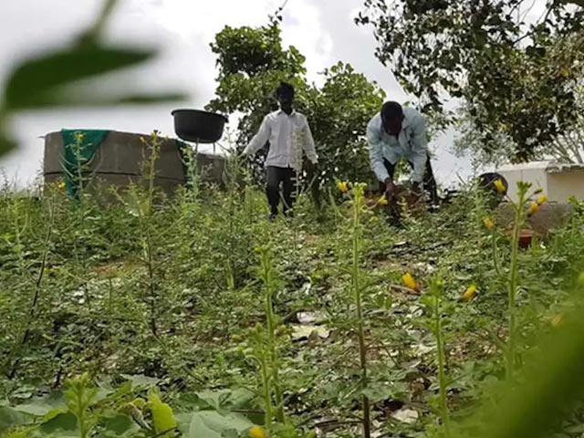 Telangana's Agricultural Reforms Transforming Farmers' Destiny