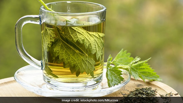 Consuming nettle tea can provide numerous health benefits due to its rich nutrient content