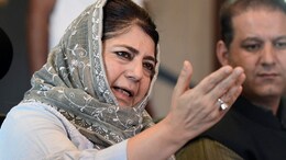 "Don't Harass Innocents": Mehbooba Mufti's Appeal Amid Delhi Blast Probe