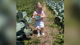 Watch: Adorable Video Of A Toddler Trying To Pick Strawberries But Failing Miserably