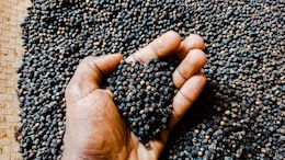 Find Out How Black Pepper Can Improve Heart Health And Boost Immunity